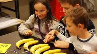 HacKIDemia: деца програмират банани да свирят