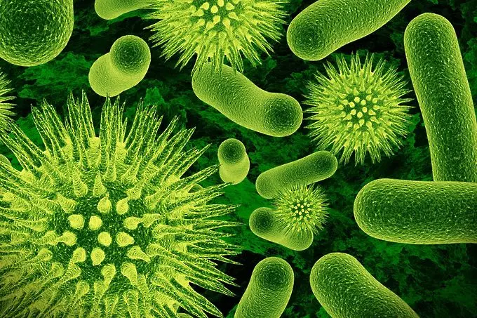 Опасна бактерия по  болници в цял свят
