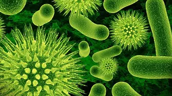 Опасна бактерия по  болници в цял свят