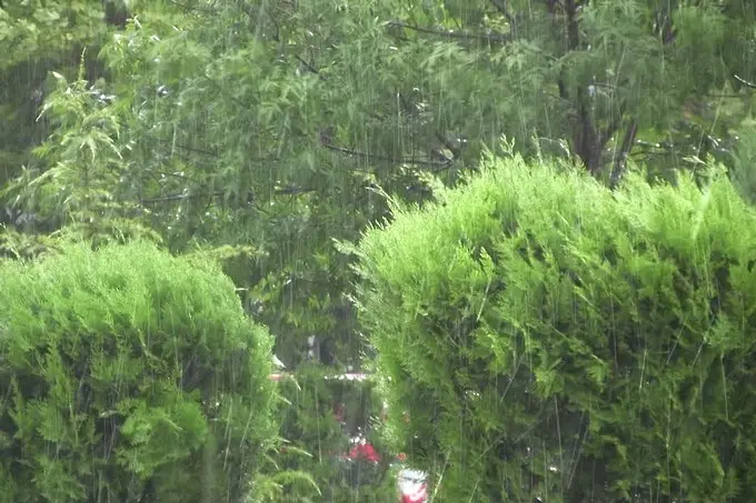 Дъждът: верижна катастрофа в Пловдивско, дърво смачка кола във Видин (обновена)