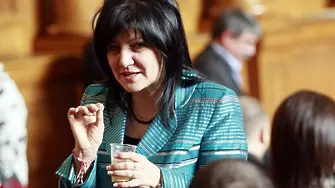 Цвета Караянчева: Дори името на партията на Местан е турско