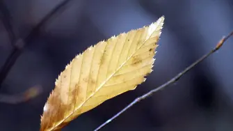 Есента идва с жълт код за силен вятър в цялата страна