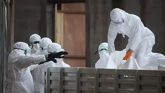 Съмнения за ебола у нас (обновена)