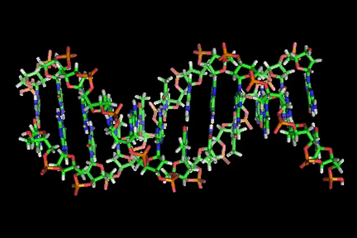 Изследване: Страховете се кодират в гените и се наследяват