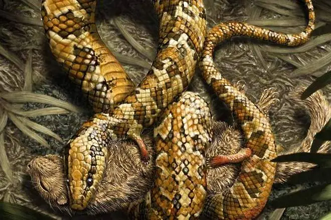 Откриха първата четирикрака змия