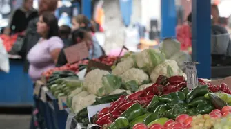 От кои страни се внасят зеленчуците на пазара