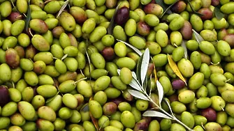 Испанските маслини - новата мишена в търговския поход на Тръмп