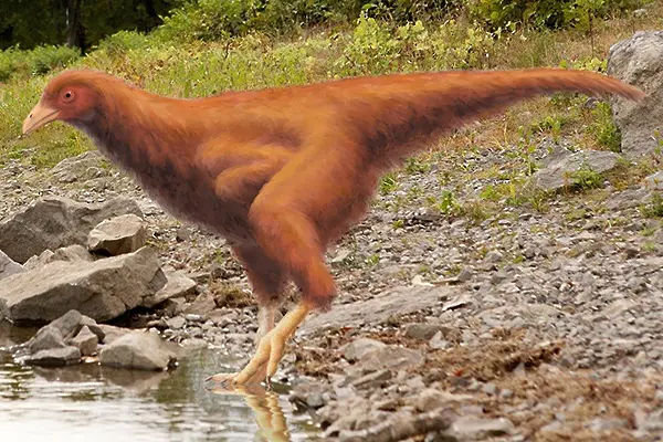 Пиле с динозавърски крака - последното постижение на науката