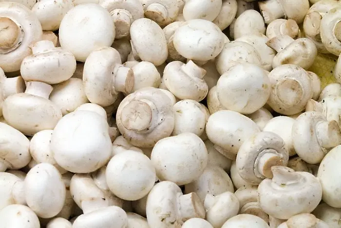 Агенцията по храните спря продажбата на печурки в 