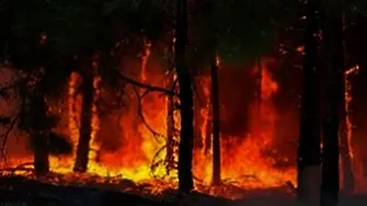 Пожар в Карлово