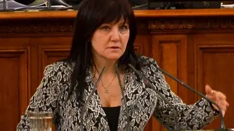 Цвета Караянчева: Депутатите са боклуци? Не съм съгласна