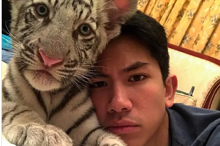 Той обича тигри, а баща му има 20 млрд. долара