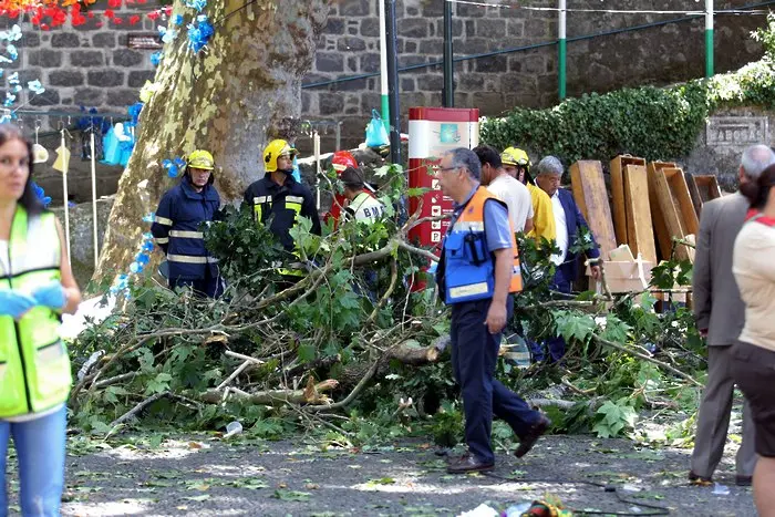Дърво уби 12 души на празник в Португалия (СНИМКИ)