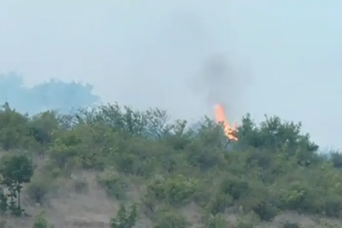Хеликоптер, военни и пожарникари потушиха пожара край Бургас