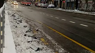 Снегорин разби велоалеята на столичния бул. 