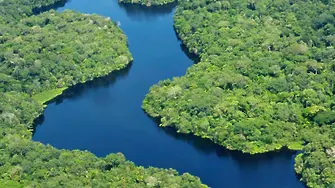 Бразилия обмисля да пусне ли Total в Амазония