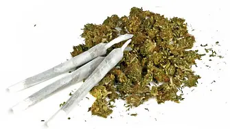 Полицията залови 19-годишен с 278 грама марихуана