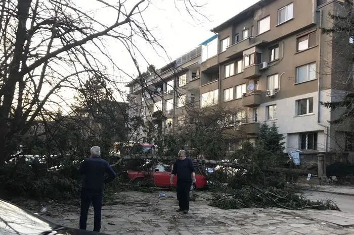 Бурята в София - 26 сигнала за паднали дървета и клони