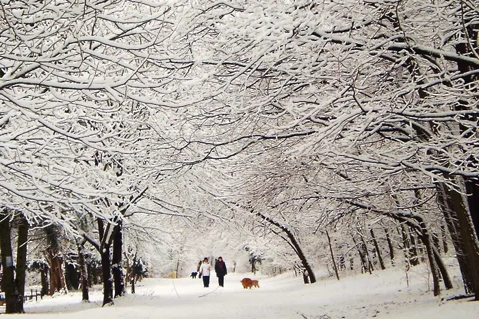 Жълт код за сняг и дъжд в почти цяла България