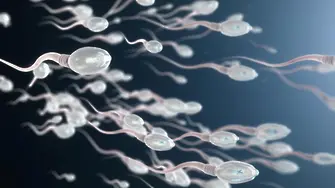 За пръв път в медицината: мъж си инжектира 18 дози сперма 