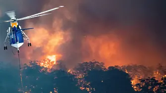 2019 г.: пожарите в Амазония - с 30% повече, най-сухата година в Австралия
