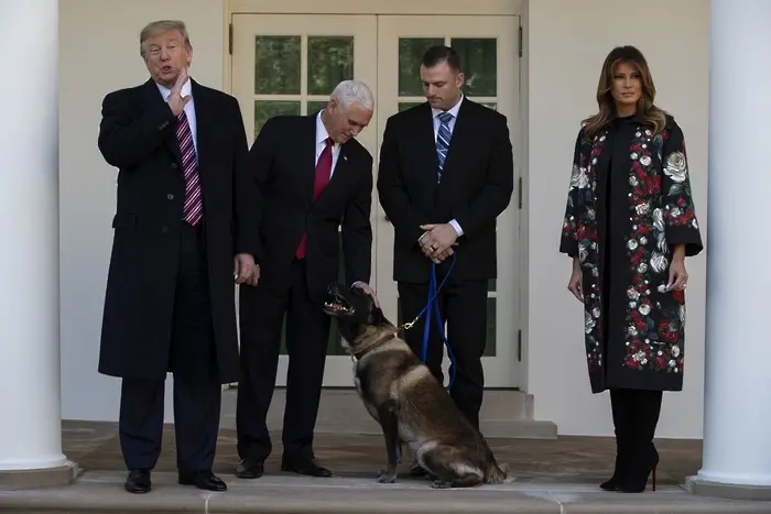 Кучето Конан предпази Тръмп от репортери в Белия дом