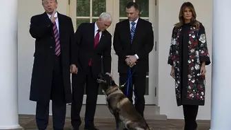 Кучето Конан предпази Тръмп от репортери в Белия дом