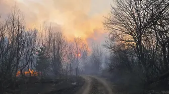 Пожарите край Чернобил продължават повече от седмица