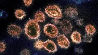 Учени са разтревожени от нов вариант на вируса в Калифорния