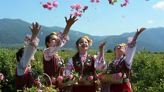 Красиви български рози край Казанлък