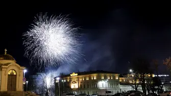 Общинска съветничка иска от Фандъкова да отмени зарята за Нова година