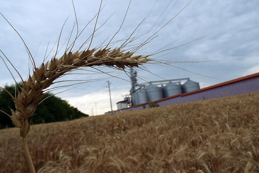 Русия блокира износа на зърно от Украйна