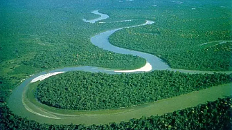 Земята губи по едно футболно игрище тропическа гора всеки 5 секунди