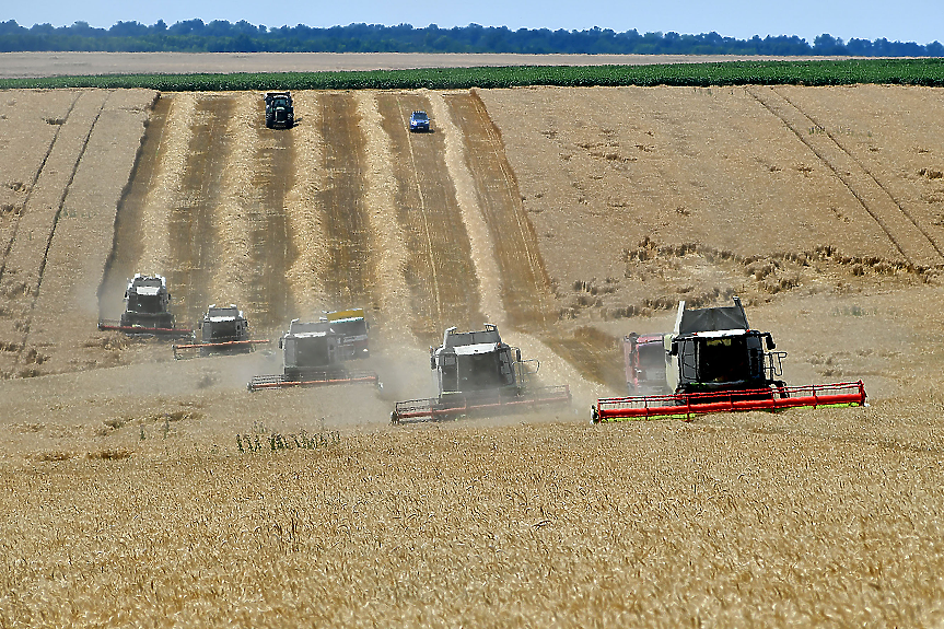 България и още 4 членки на ЕС ще поискат да се удължи забраната за внос на украинско зърно