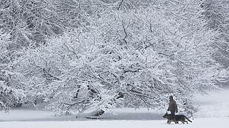 Зимен уикенд - очакват ни температури до -11 градуса. И сняг в София