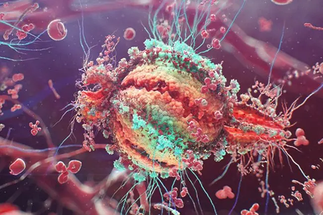 Учени клонираха антитела, които убиват някои щамове на ХИВ