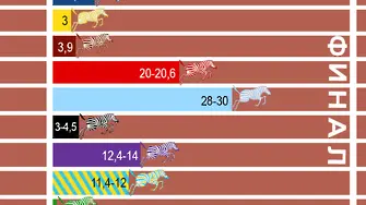 След 16 часа: Огромна разлика между първа и втора зебра