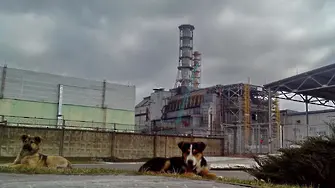 Бутон за защита взриви Чернобил