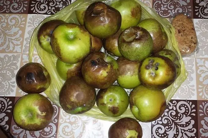 Гнилите ябълки - дар за незрящите