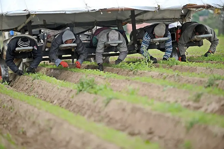 Българските земеделци очакват равни плащания със западните