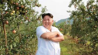 Майстора от Северна Корея увековечи Ким сред ябълки