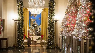 Ако пак не сте канени по празниците в Белия дом, вижте уникалната му украса