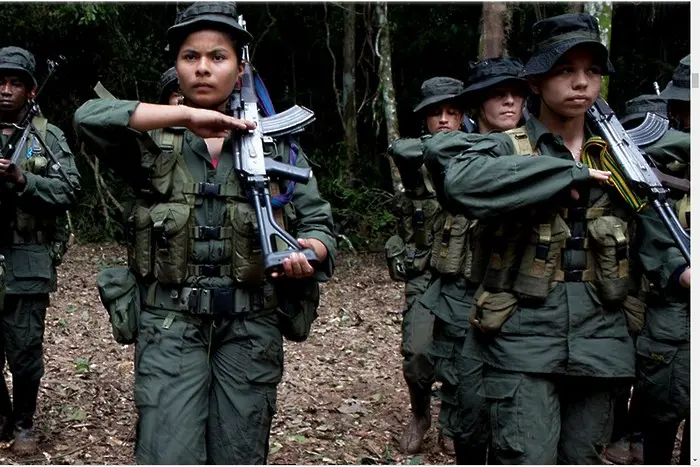 Бейби бум сред бившите партизанки в Колумбия