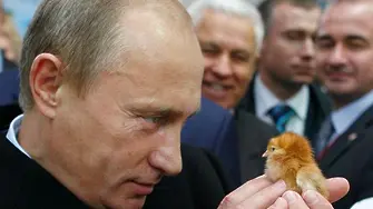 Като с птичи грип. Или как Путин се зарази с македонска кирилица