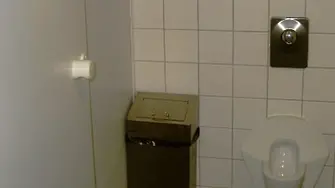 Дамски писоари в градските тоалетни на Берлин?