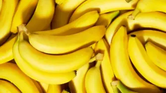 Трябват ли ви 40 тона конфискувани банани? НАП ги продава в Подгумер