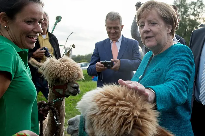 Ето така Меркел нокаутира опозицията