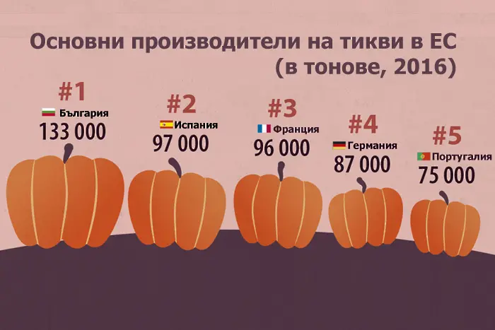 Знаете ли кой произвежда най-много тикви в ЕС? България