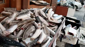 За какво да внимаваме при покупката на риба за Никулден