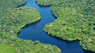 Бразилия не пусна Total да дупчи за нефт в Амазония 